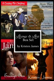 License to Love: Holiday Box Set (Contemporary Romance)