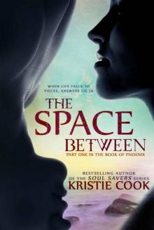 The Space Between (The Book of Phoenix) The Space Between (The Book of Phoenix)