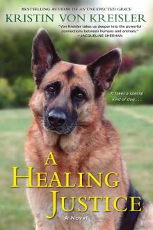 A Healing Justice A Healing Justice