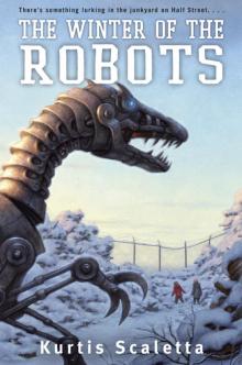 The Winter of the Robots The Winter of the Robots