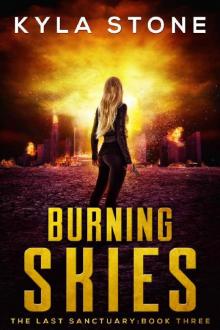Burning Skies