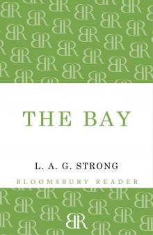The Bay