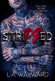 Stripped: A Dark Steamy MMF Menage Romance