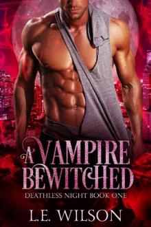 A Vampire Bewitched (Deathless Night Book 1) A Vampire Bewitched (Deathless Night Book 1)