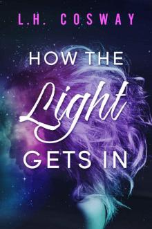 How the Light Gets In: The Cracks Duet Book Two How the Light Gets In: The Cracks Duet Book Two