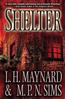 Shelter Shelter