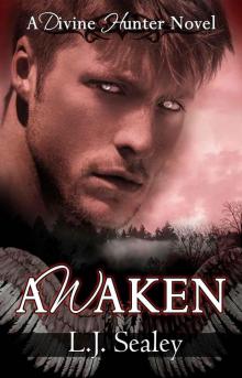 Awaken (Divine Hunter Series) Awaken (Divine Hunter Series)