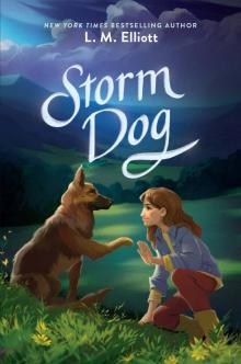 Storm Dog Storm Dog