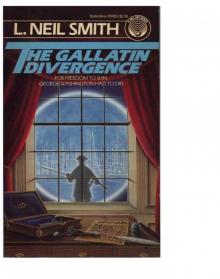 The Gallatin Divergence