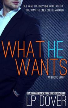 What He Wants What He Wants