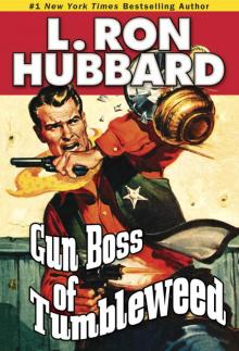 Gun Boss of Tumbleweed Gun Boss of Tumbleweed
