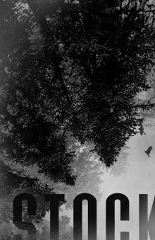 Stockholm: A Dark, Captivity Romance (Angel of Mercy Book 1)