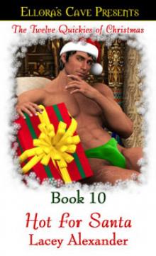 Twelve Quickies Of Christmas Book 10: Hot For Santa Twelve Quickies Of Christmas Book 10: Hot For Santa