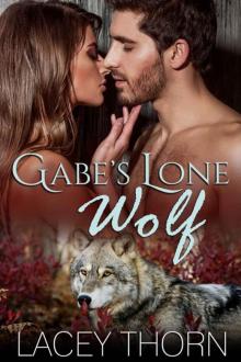 Gabe's Lone Wolf (James Pack Book 6) Gabe's Lone Wolf (James Pack Book 6)