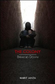 The Colony (Book 3): Breaking Down