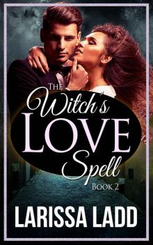 The Witch's Love Spell Book 2