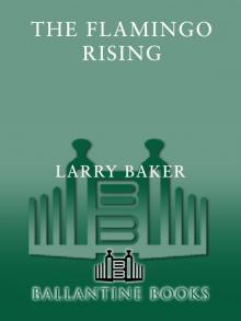 The Flamingo Rising