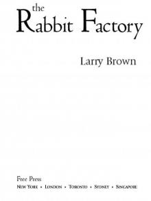 The Rabbit Factory: A Novel