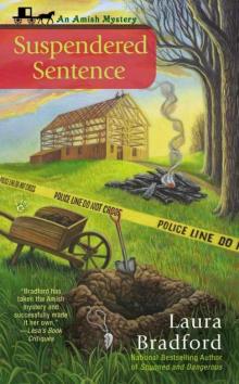 Suspendered Sentence (An Amish Mystery Book 4)