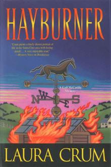 Hayburner (A Gail McCarthy Mystery)
