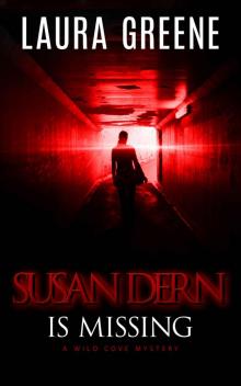 Susan Dern Is Missing (A Wild Cove Mystery Book 1)