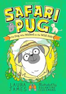 Safari Pug