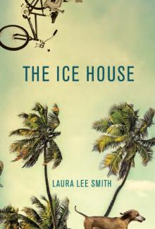 The Ice House The Ice House