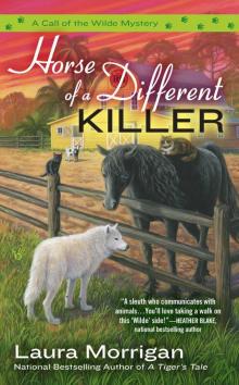 Horse of a Different Killer (A Call of the Wilde Mystery Book 3)