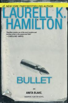 Bullet ab-19