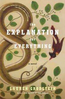 The Explanation for Everything: A Novel
