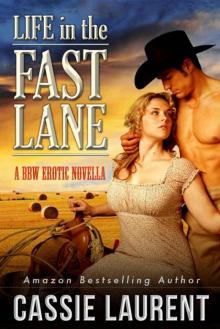 Life in the Fast Lane: A BBW Erotic Novella (Western Romance, Billionaire Cowboy, Curvy Girls)