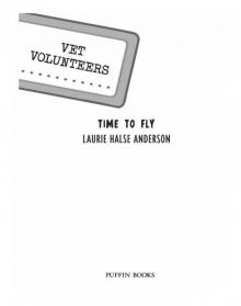 Time to Fly Time to Fly