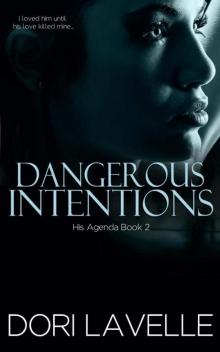 Dangerous Intentions (His Agenda 2)
