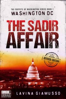 WASHINGTON DC: The Sadir Affair (The Puppets of Washington Book 1)