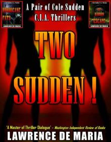 TWO SUDDEN!: A Pair of Cole Sudden C.I.A. Thrillers