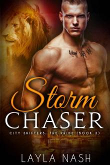 Storm Chaser (City Shifters: the Pride Book 3)