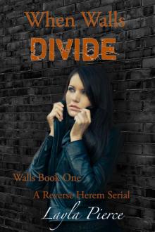 When Walls Divide: A Reverse Harem Novella