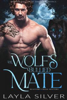 The Wolf’s Bullied Mate: Enemies to Lovers Shifter Romance