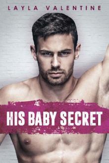 His Baby Secret - A Second Chance SEAL Romance