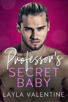 Professor's Secret Baby