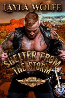 Shelter From The Storm (The Bare Bones MC Book 6)