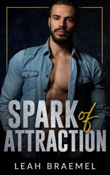 Spark of Attraction: Good With His Hands