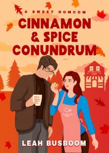 Cinnamon and Spice Conundrum: A Sweet Mistaken Identity Romcom