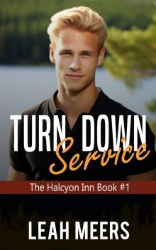Turn Down Service: An MM Gay Romance