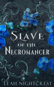 Slave of the Necromancer
