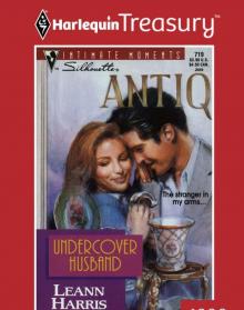 Undercover Husband
