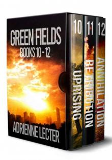 Green Fields Series Box Set | Vol. 4 | Books 10-12 Green Fields Series Box Set | Vol. 4 | Books 10-12