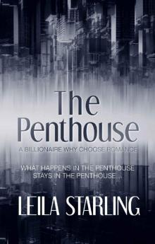 The Penthouse: A Why Choose Billionaire Romance