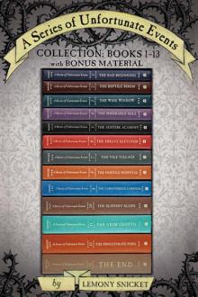 A Series of Unfortunate Events Box: The Complete Wreck