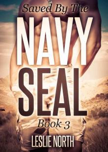 Rescued by the Navy Seal Rescued by the Navy Seal
